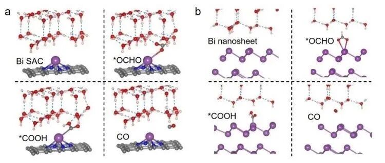 【翼享学术】南师大李亚飞/王彧课题组Chem. Sci.：为什么M-N-C单原子催化剂的CO2电化学还原产物通常是CO？