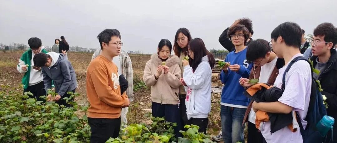 田野上的育人答卷——襄阳书院三位一体实践纪实