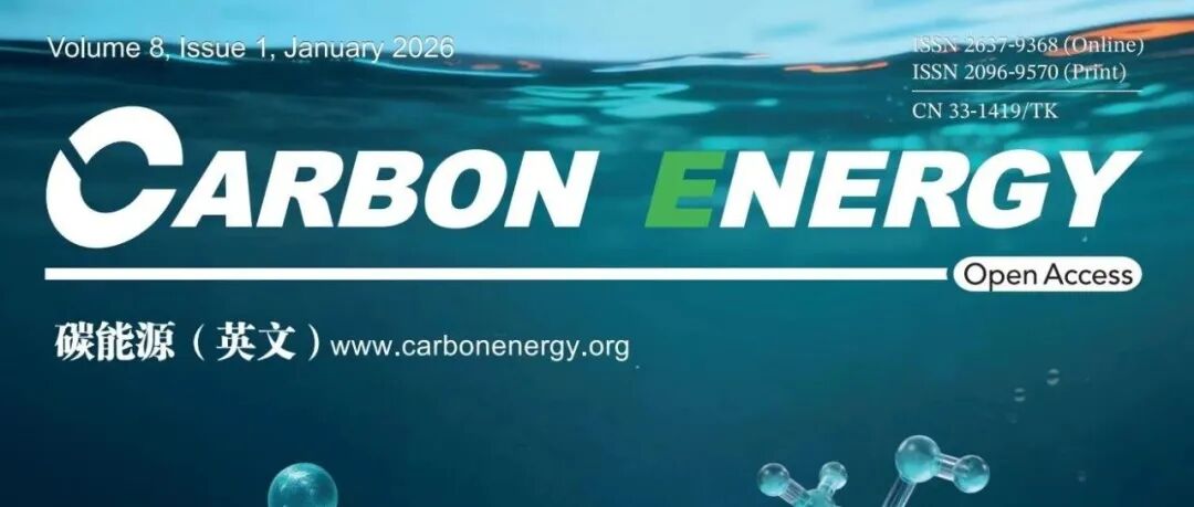 俄罗斯科学院西伯利亚分院Alexander Pozdnyakov综述：富勒烯在质子交换膜中的应用与挑战综述