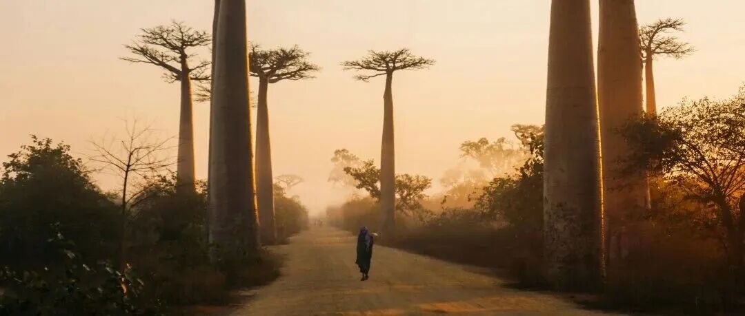 第一读者 | 肯u2022布谷尔【塞内加尔】：言语之主