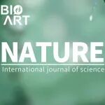 Natureu00A0|u00A0组蛋白泛素化是控制染色质遗传的全新机制