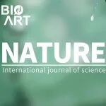 专家点评Nature |u00A0程功团队揭示蚊媒病毒感染蚊虫的分子密码