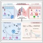 献礼马年！西湖大学再发Cell