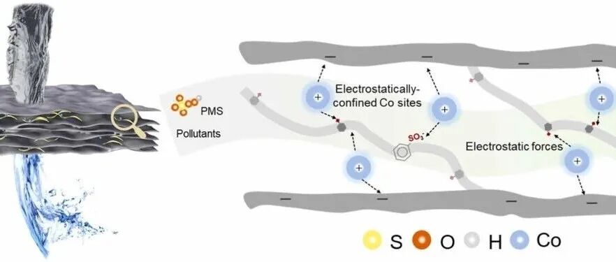 大连理工大学：在 MoS2 膜的夹层通道内将静电约束的钴位点，实现高效的类芬顿催化，实现可持续水净化