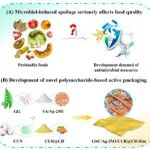 薄膜基质修饰与活性成分引入策略协同合成多糖基活性包装，提升屏障性能和功能活性，实现高效易腐水果保存