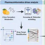 通过药理学和绿色提取方法可持续利用柑橘生物废弃物开发针对痛风性关节炎的富含多甲氧基黄酮的提取物