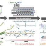 浙江大学王文俊/杨轩团队 ACS Sustain. Chem. Eng. : 双功能反应挤出制备纳米纤维素增强的可降解复合物薄膜