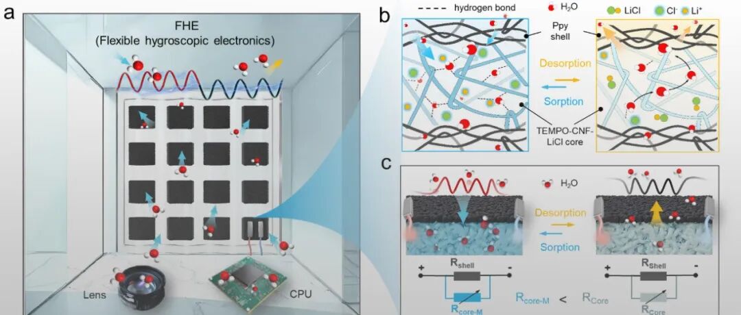 宁波材料所陈涛/肖鹏团队《Adv. Mater.》: 柔性凝胶电子器件实现吸湿-解吸实时监测与智能化湿度管理