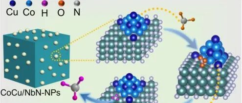 青岛科技大学发表ACS Catalysis：NbN负载CoCu合金的活性界面边缘实现电催化硝酸盐还原制氨