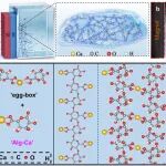 华东理工方海平教授、陈若阳副研究员等 Nat. Mater.：发现含有“一价”钙离子的“自带磁性”水凝胶