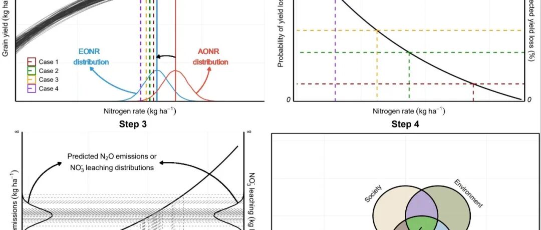 NC|从产量最大化向利润最大化转型：美国玉米氮肥利用效率的阶段性优化路径