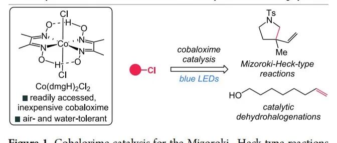 北卡罗来纳大学教堂山分校化学系Erik J. Alexanian团队：一种钴肟催化未活化烷基氯化物的Mizoroki\u2212Heck反应和脱卤化氢反应。