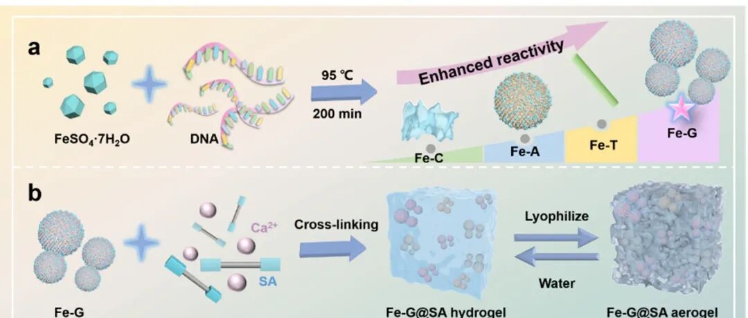 Biosens. Bioelectron. | 基于铁基DNA纳米酶的气凝胶比色传感器用于毒死蜱的检测