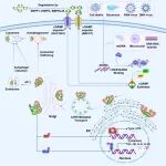航天中心医院Pharmacology & Therapeutics综述：激活cGAS-STING克服肿瘤耐药逆转