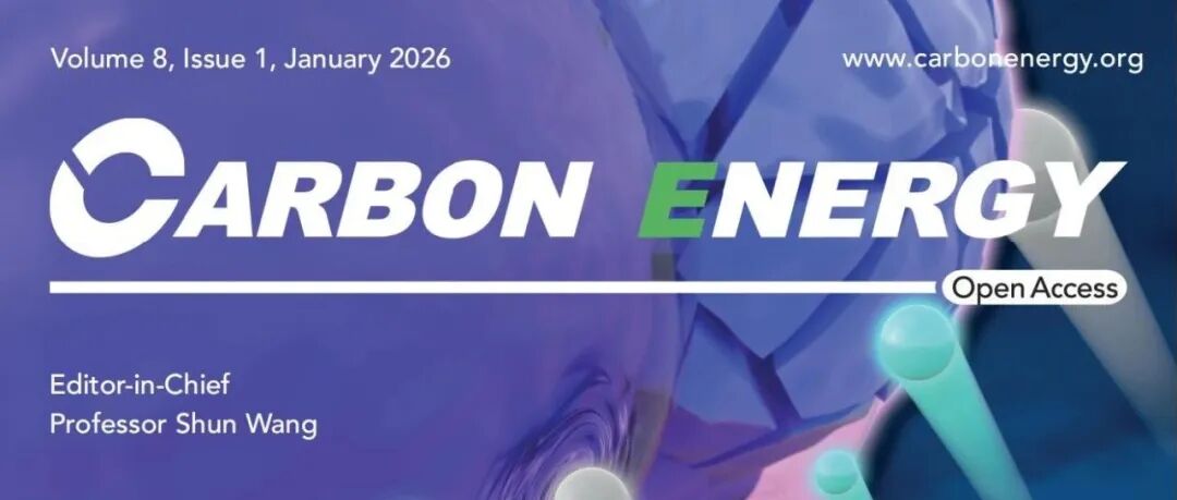 西班牙巴塞罗那大学Federico Calle‐Vallejo：CO2电还原吸附中间体误差的校正