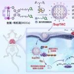 化学所研究员汪铭团队Cell：超分子靶向嵌合体实现时空可控的活体蛋白质降解