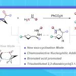 【Org. Lett.】浙工大海洋药物创新团队王鸿/陈华：布朗斯特酸促进的张力释放驱动双环[1.1.0]丁基酮外环化合成2,3-二氮杂双环[3.1.1]庚烯