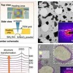 看见材料生长的“混沌初开”，北京科技大学最新Science