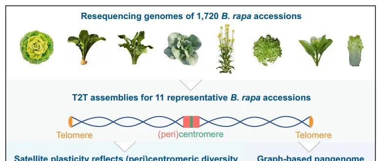 河北农业大学校史首篇Science