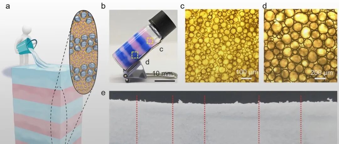 神奇的Janus颗粒让你轻松成为调酒师 - 首师大/清华梁福鑫团队连发Nature子刊：多级Janus结构热整流材料