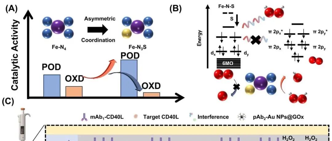 Anal. Chem. | 基于非对称配位工程的Fe-N\u2083S纳米酶用于超低背景比色免疫测定