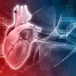 【文献综述】超声光声多模式成像在心梗研究中的应用