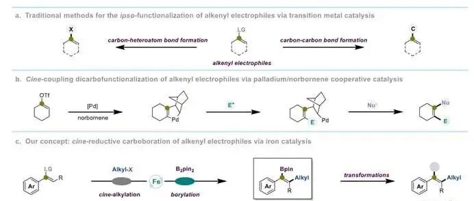重庆大学冯璋团队：铁催化烯烃亲电试剂的移位还原碳硼化反应