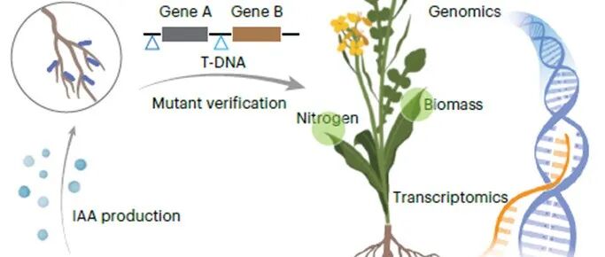 本硕毕业于西北农林科技大学，博士毕业于德国慕尼黑大学，西南大学教授以第一作者和通讯作者身份在Nature子刊上发表研究论文