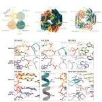 Science | 基因组编辑新纪元：RNA引导的桥接重组酶