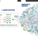 Nat\u00A0Biotechnol\u00A0|\u00A0CRISmers+GRAPE-LM\u00A0RNA适配体进化新范式