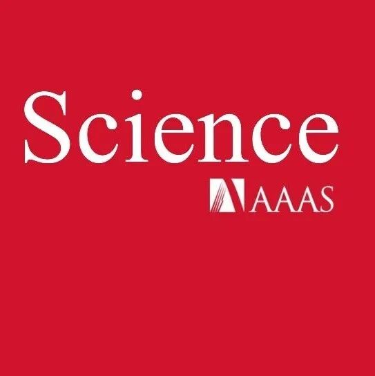 自组装，Science！