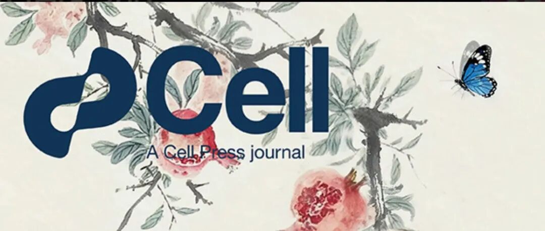 浙江大学研究团队登上Cell封面