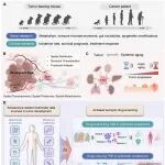 Cancer Discovery丨癌症研究范式亟待转变！天肿郝继辉/周天兴团队提出：衰老是下一个癌症研究主战场