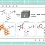 可解释人工智能在药物研究分子设计中的应用