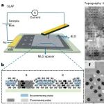 研究前沿：石墨多型体-超润滑纳米腔 | Nature Nanotechnology