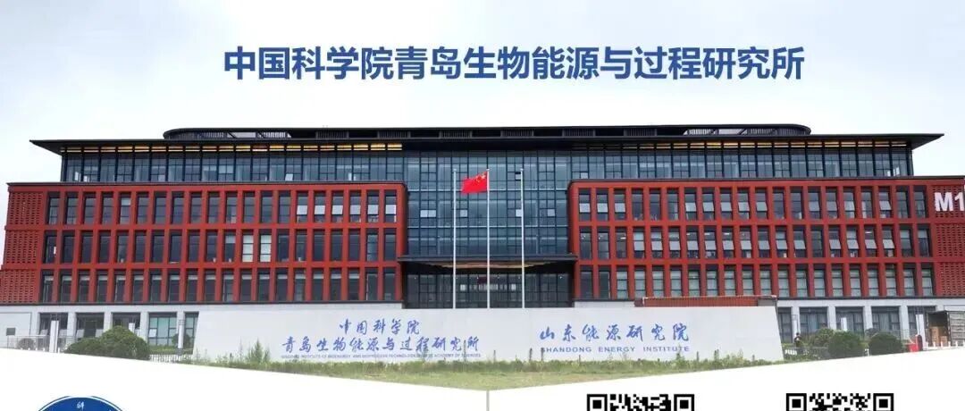 青岛能源所/西北工业大学：氧化锡纳米材料，原位构建2D/3D钙钛矿异质结-高效光伏组件 | Nature Energy