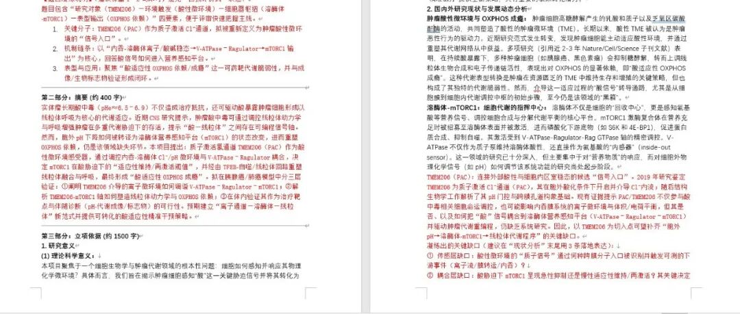 对已有word版标书做深度评估 + CNS级最新进展对照 + 在原Word标书上做“红字嵌入式修改稿”。