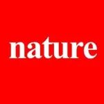 陆俊领衔！上海电力大学/浙江大学Nature子刊 | 电场调控阴离子运动定制锂金属固体电解质界面相组成！