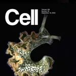 Cell封面 | 动物也能光合作用？新型细胞器盗取叶绿体，让动物实现光合作用