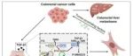 Cell\u00A0Death &\u00A0Differ | 西安交通大学涂康生等发现TUFT1通过稳定TGF-β受体II蛋白促进肝星状细胞活化为促转移的肌成纤维细胞