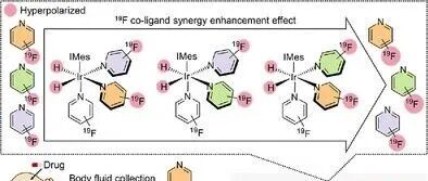 ANIE \u00A6 基于SABRE超极化的多通道\u00B9\u2079F核磁共振技术用于台式核磁共振仪上多种疾病标记酶的高灵敏检测