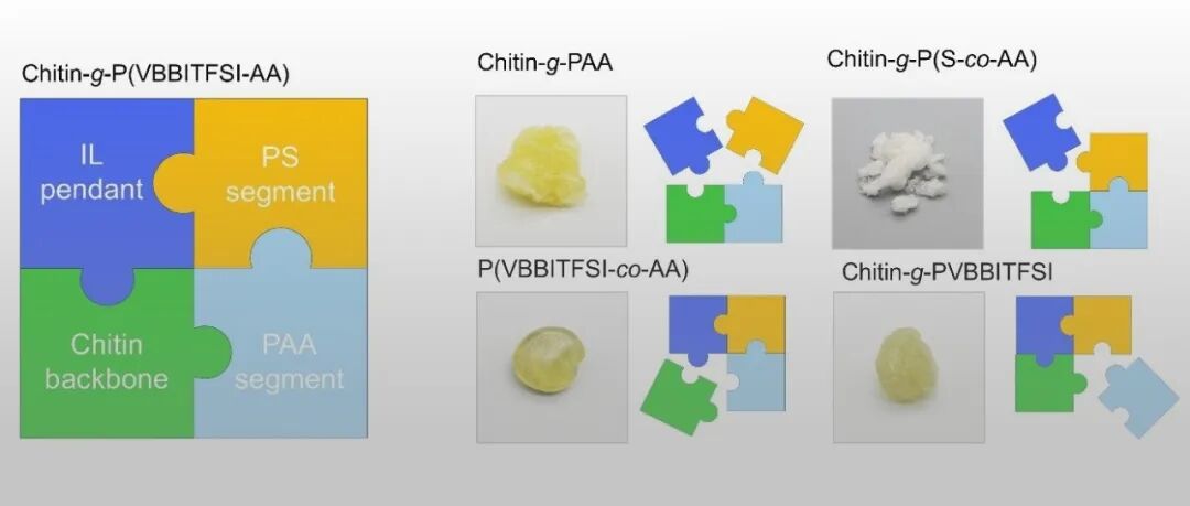 武汉大学提出“分子积木”理念，助力甲壳素基粘结剂的功能集成与定制