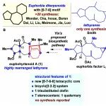南方科技大学李闯创团队：全合成Euphohyrisnoid A