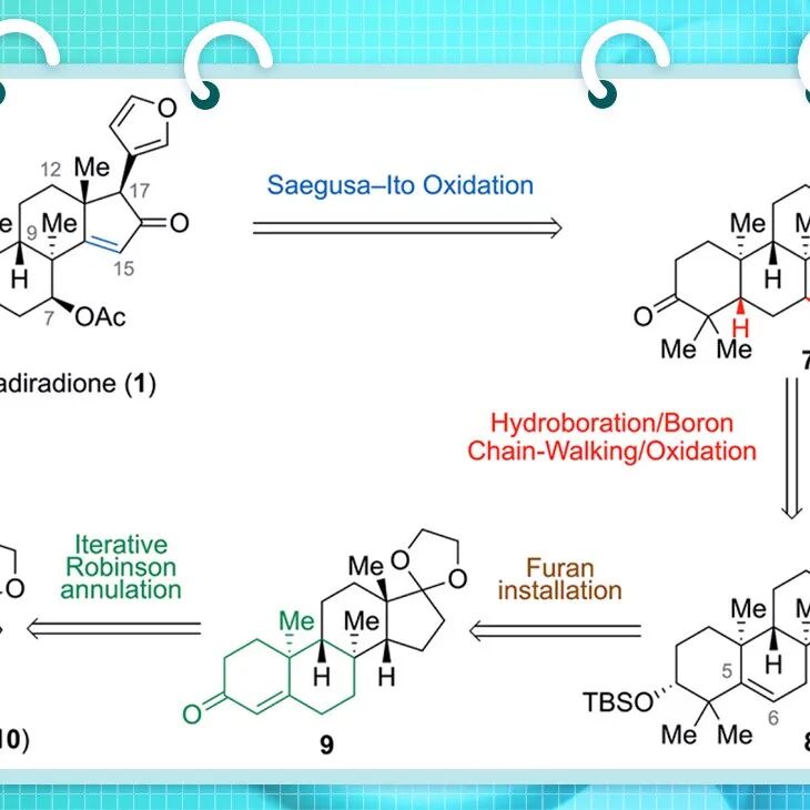 【Angew. Chem.】新型合成策略—实现柠檬苦素类化合物C7-位点选择性羟基化