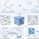 中南民大张道洪教授/姜宇教授团队 Macromolecules：高性能超支化聚氨酯微相分离的原位可视化