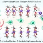 海南大学黄玮/张明鑫团队 JACS：浓盐水直接分离