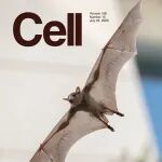 Cell封面 | 挑战记忆重放范式：海马体在超大环境中以“碎片化”方式重放短路径，而非完整轨迹