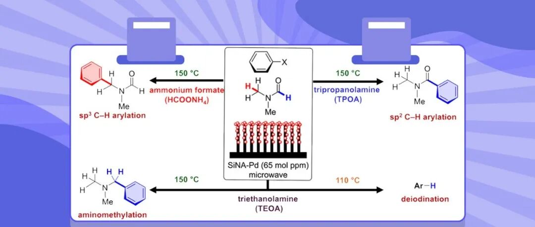【ACS Catal.】理化学研究所Yamada：调控胺和温度实现四重可切换催化