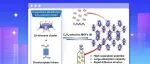 【Chem】暨南大学李丹&陆伟刚&曾恒团队：基于Zn\u2088(CH\u2083COO)\u2088-硅氧烷簇的金属有机框架用于丙烯/丙烷反向分离