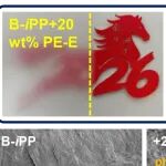 天津大学潘莉团队《Macromolecules》：中等立构/区域选择性催化剂设计高性能聚丙烯基弹性体 - 助力iPP增韧与HDPE/iPP共混物高效增容
